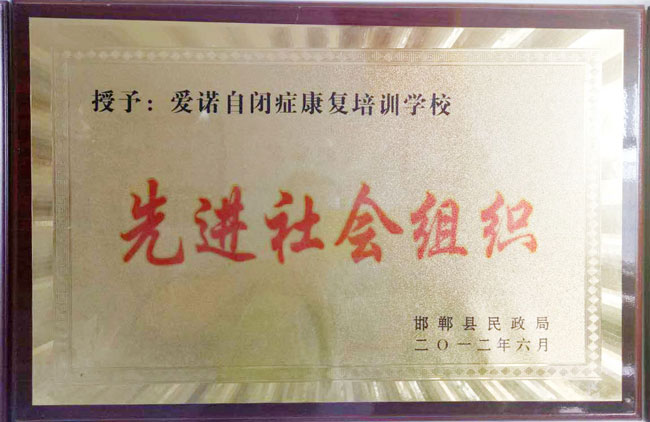 社会先进组织